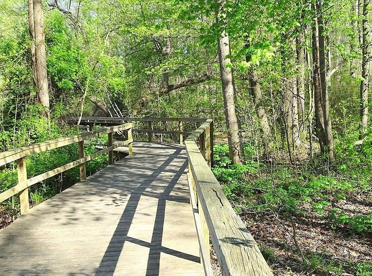 The Bog Garden at Benjamin Park, United States
